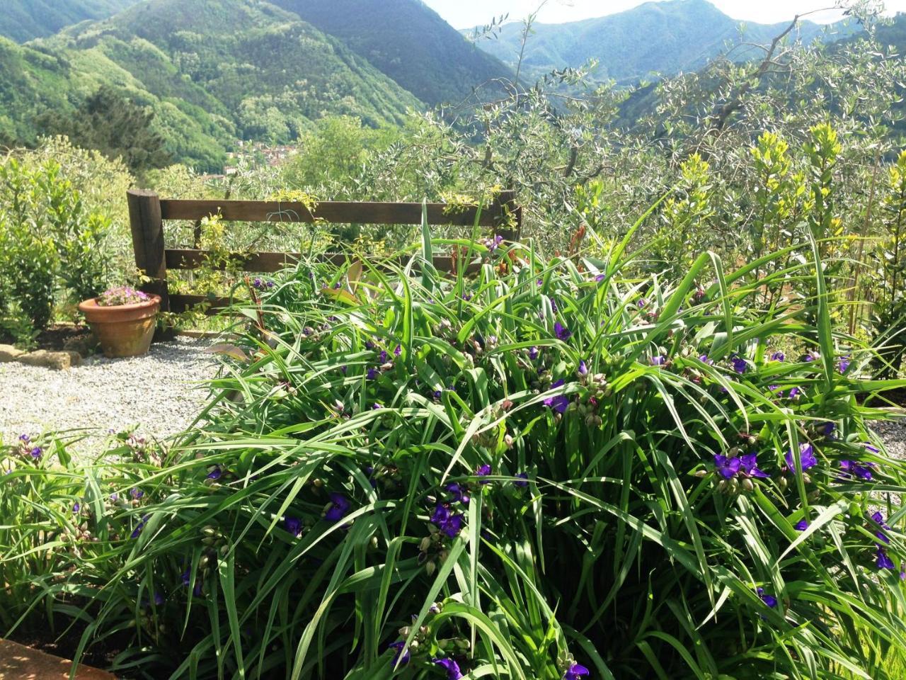 Agriturismo Tenuta La Fratta Bagni di Lucca Exterior photo